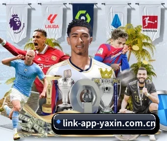 亚新体育 APP | yaxin