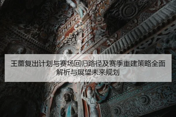 王蔷复出计划与赛场回归路径及赛季重建策略全面解析与展望未来规划